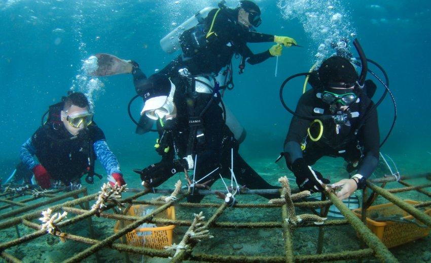 快递特定情况下的“送货上门”可额外收取费用，你能接受吗？